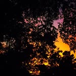 Calvin - @calvinransomphotography - Instagram