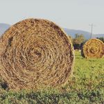 Calvin Redding - @haybaleredding - Instagram