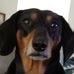 Calvin Rollins - Facebook