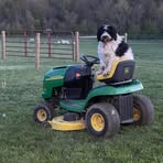 Calvin Rowe - Facebook