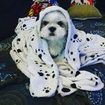 calvin Sales - @calvin_ostello - Instagram