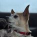 Calvin Schultz - Facebook