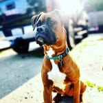 Calvin Schultz - @calisallbutdone - Instagram