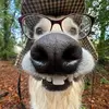 Sinister doggy - @calvinseaton4 - TikTok