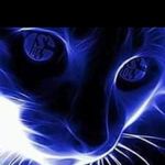 Calvin-Brian Sell - @mecama2003 - Instagram