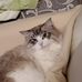 Calvin Seto - Facebook