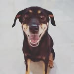 Calvin S - @calvin_sim81 - Instagram