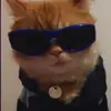 Calvin Field - @calvinfield - TikTok