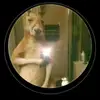 Calvin Soto - @timcanguro1368o - TikTok