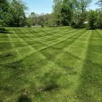 cls lawn and landscape - @calvin.stroud.73 - Instagram
