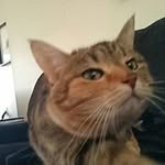 Calvin Stuart - @stuartcalvin - Instagram