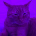 calvin stump - @calvin_stump_ - Instagram