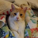 @stumpycalvin - Instagram