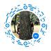 Calvin Sumner - Facebook