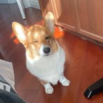 calvin - @calvinsun_ - Instagram