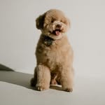 Calvin Sun - @calvinsunn - Instagram