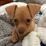 Calvin - @_calvinswift - Instagram