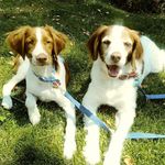 Calvin thacker - @calte3 - Instagram