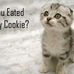 Calvin Thayer - Facebook