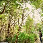 Calvin Ting - @calvin_0413 - Instagram