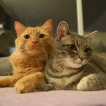 Calvin N Toby - @calvin_and_toby - Instagram