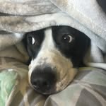 Calvin Toby Johnson - @hi_im_calvintoby - Instagram