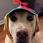 calvin trudeau - @calvintrudeau25 - Instagram