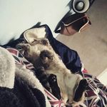 calvin ung - @calvin.u08 - Instagram