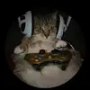 calvinvasquez96 - @calvinvasquez96 - TikTok