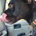 Calvin Walker - Facebook