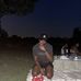 Calvin Warfield - Facebook