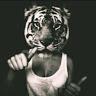 Calvin Wesley - @calvinwesley1 - TikTok