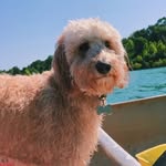 Calvin Whaley - @whaleycalvin - Instagram
