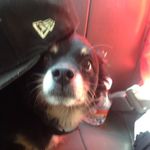 yo its ya boy Calvin - @calvinwiggins69 - Instagram