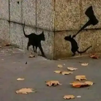 Calvin Wolf - Facebook
