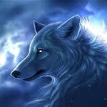 Lone Wolf 🐺 - @calvinwolf67 - Instagram