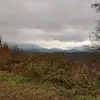 calvinworkman689 - @calvinworkman689 - TikTok