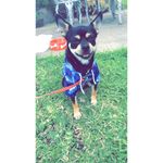 Calvin Xavier - @calven_xavier - Instagram