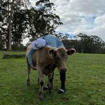 Cam Adams - @_camadams_ - Instagram