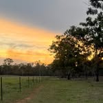 Cam Boyd - @cam_boyd6 - Instagram