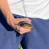 cam.cullen - @cam.cullen - TikTok