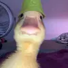 cullencameron - @cullencameron - TikTok
