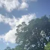 CamFox - @camfox_8 - TikTok