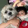 Camron 🦊 - @camfox2 - TikTok