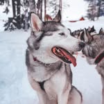 Cam Garrett - @cam.garrett.779 - Instagram