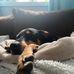 Cam Garrett - Facebook