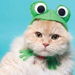Cam Tiye Graves - @dumbhead4627_73 - Instagram
