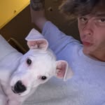 Cam Harper - @camharper44 - Instagram