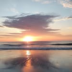 Cam Harper - @parrotheadcam - Instagram