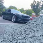 Cameron Harper - @camharper14 - Instagram